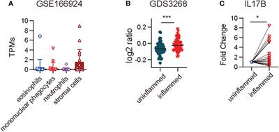 Interleukin 17 B regulates colonic myeloid cell infiltration in a mouse model of DSS-induced colitis